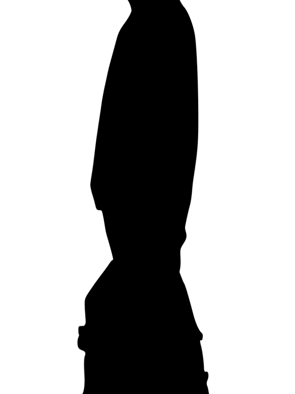 DLP F15 1 1