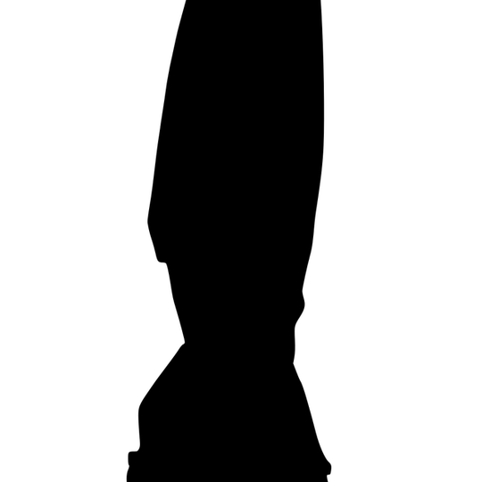 DLP F15 1 1